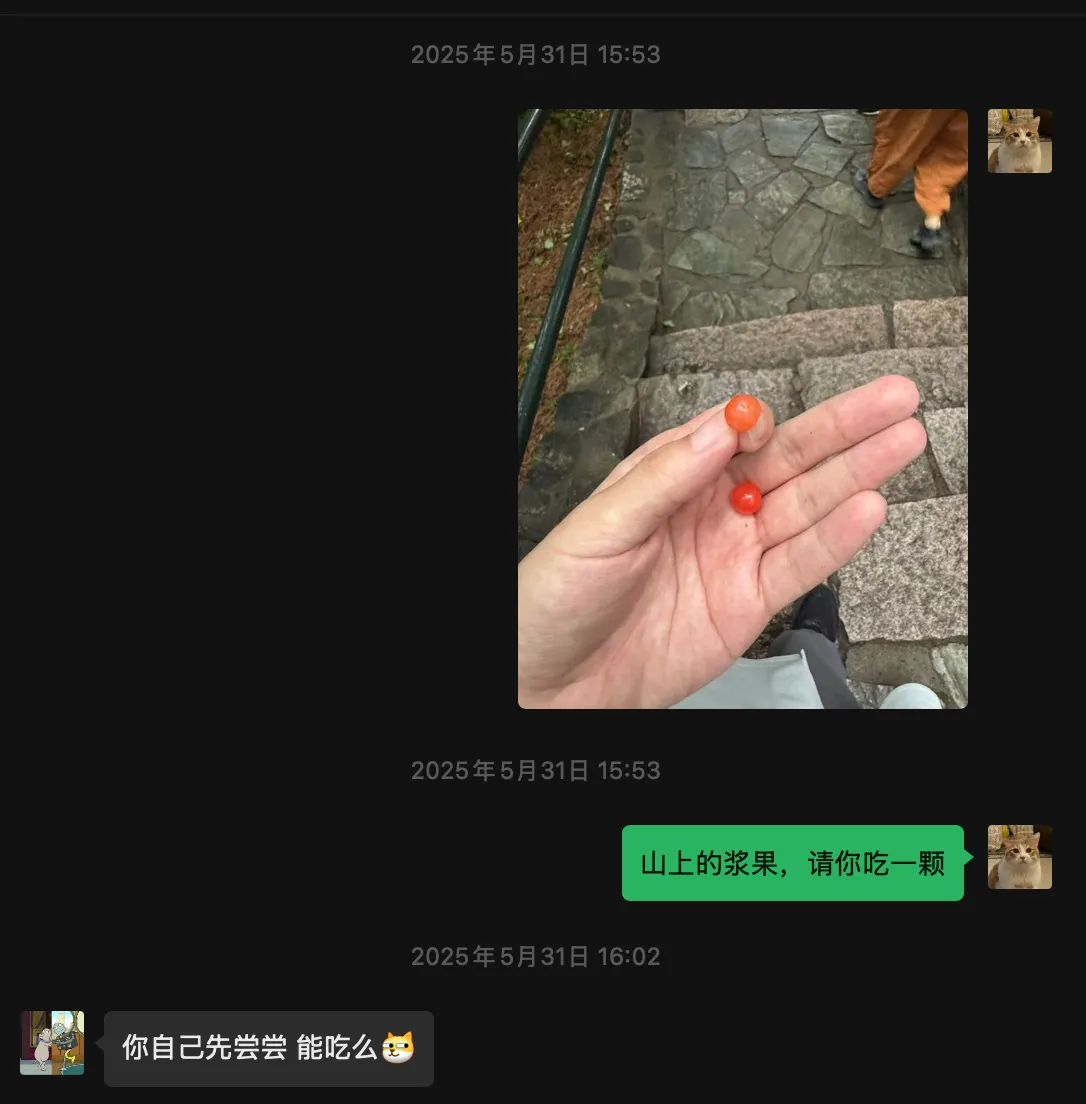 20250809012017si1t.webp